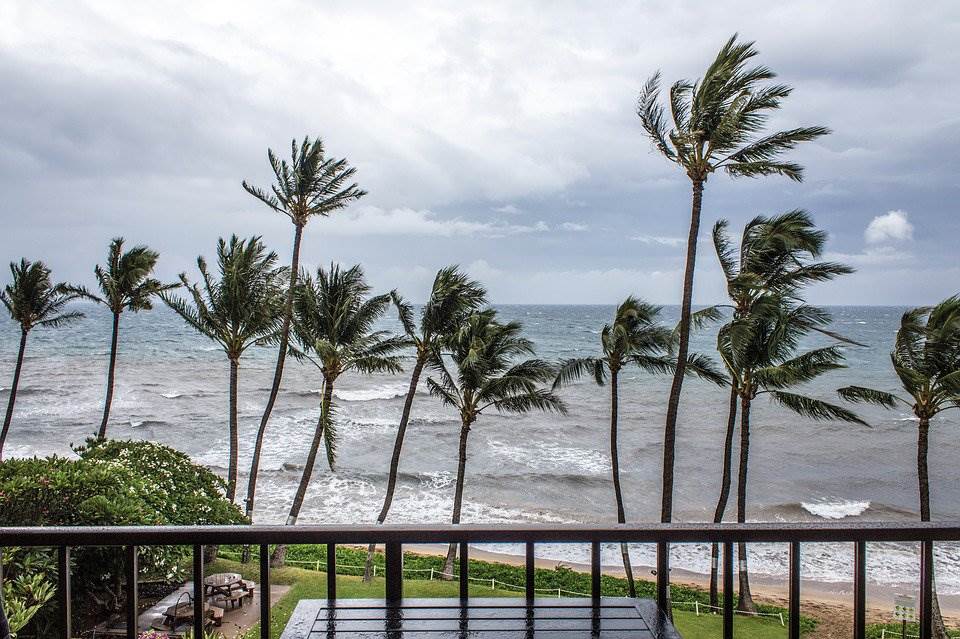 'Narda' podría intensificarse hoy a tormenta tropical; alerta en estos estados