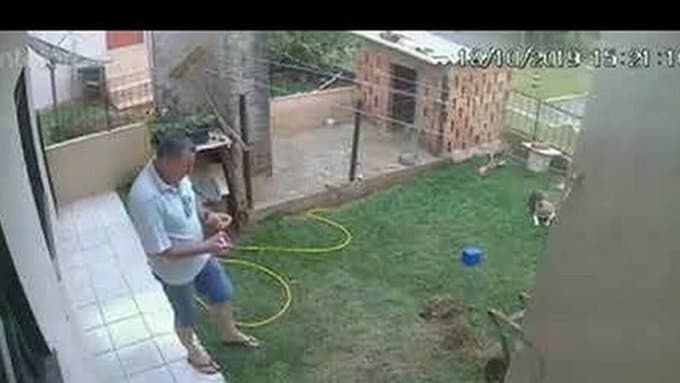 Hombre explotó su patio intentando quemar nido de cucarachas