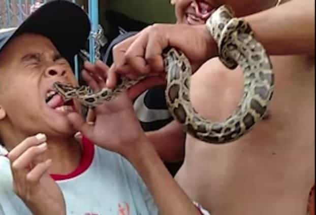 Niño se burla de serpiente y al instante se arrepiente