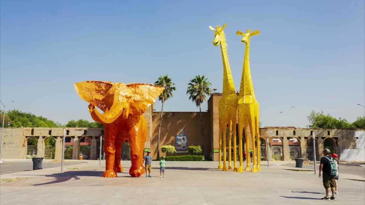 Pedirán investigar a La Pastora tras muerte de 'Wooki'