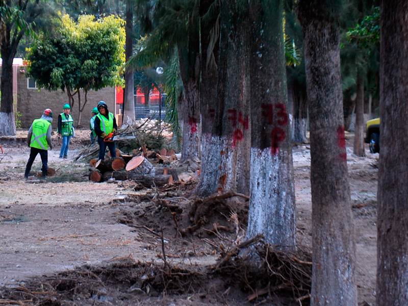 ¿Contaminas? ¡Ahora puedes ir a la cárcel! Castiga NL delitos ambientales
