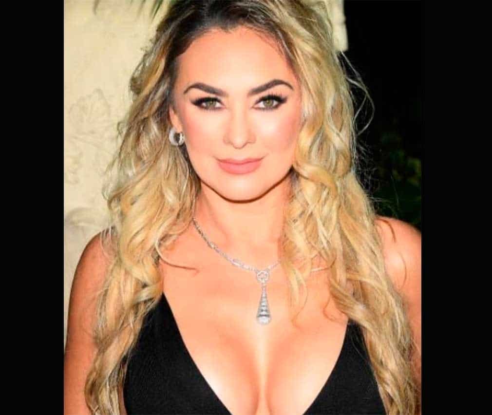 Aracely Árambula prefiere no hablar de Luis Miguel