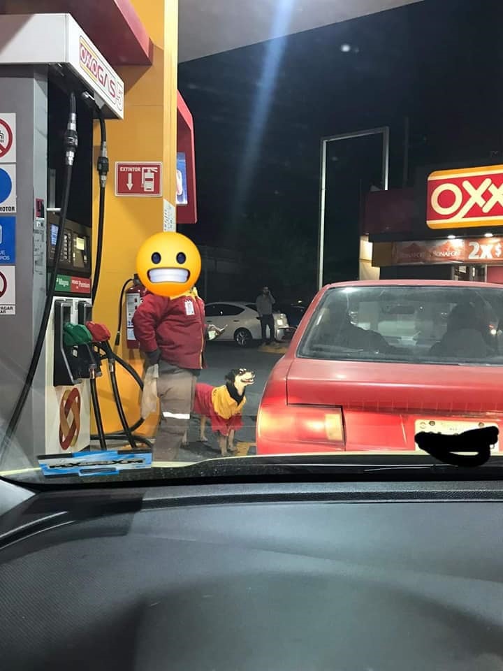 Perrita conmueve a internautas por su trabajo como despachadora de gasolina