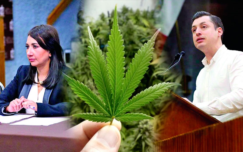 Regulación de cannabis divide a diputados locales