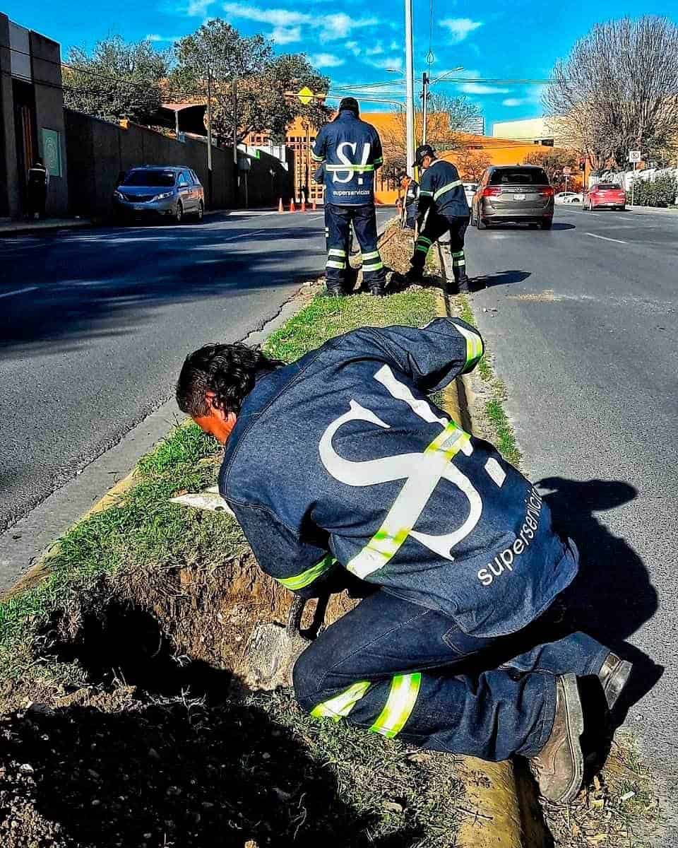Autoridades de San Pedro Garza plantan árboles ante mala calidad del aire