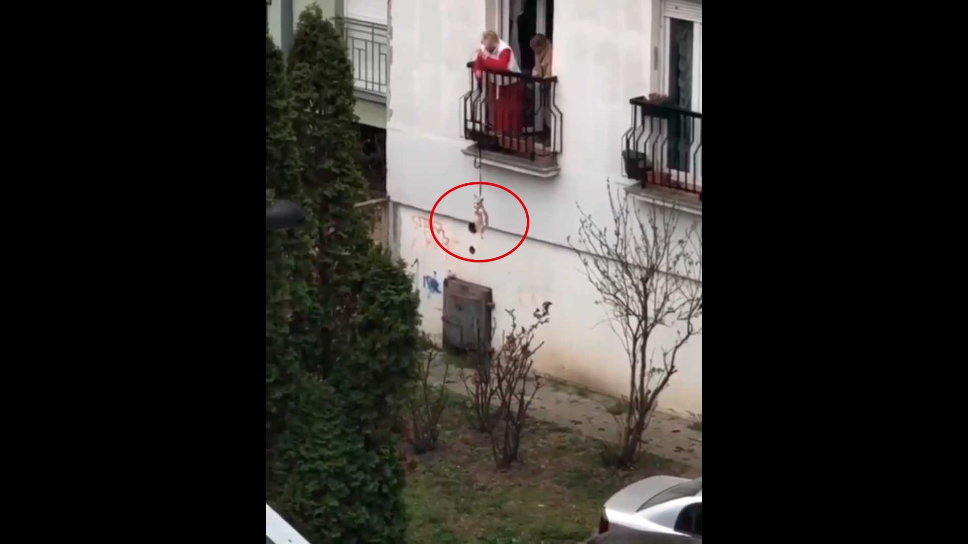 Abuelitas en cuarentena tienen ingeniosa forma de sacar a pasear a su perro desde el balcón