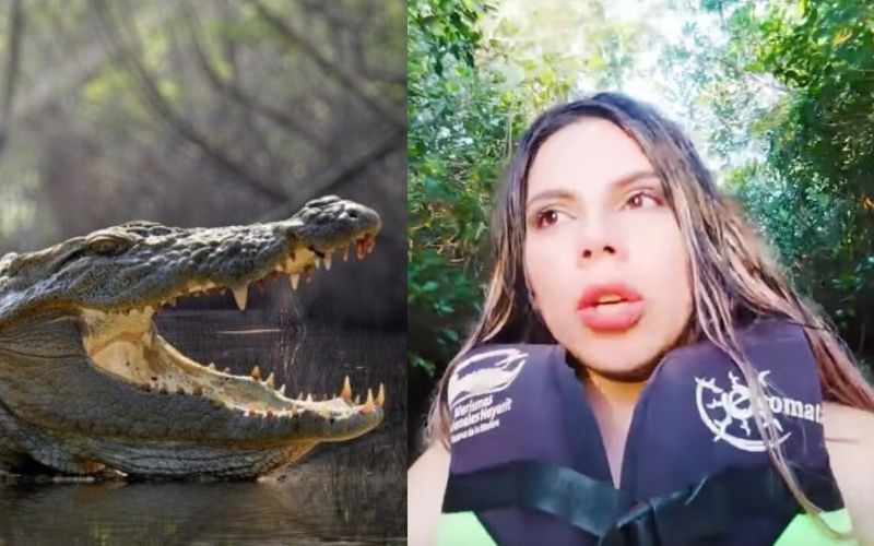 'Viví para contarlo': Lizbeth Rodríguez habla del accidente que tuvo en un río con cocodrilos