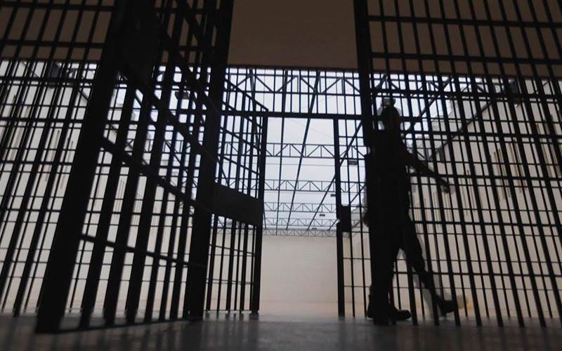 Saldrían 1,200 presos de cárceles mexicanas por Ley de Amnistía