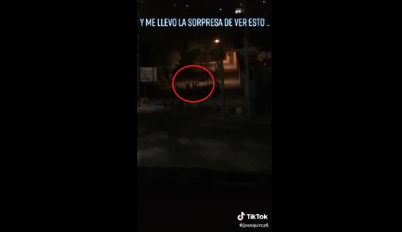 ¡Escalofriante! Captan joven a supuestos duendes jugando en el parque y se hace viral