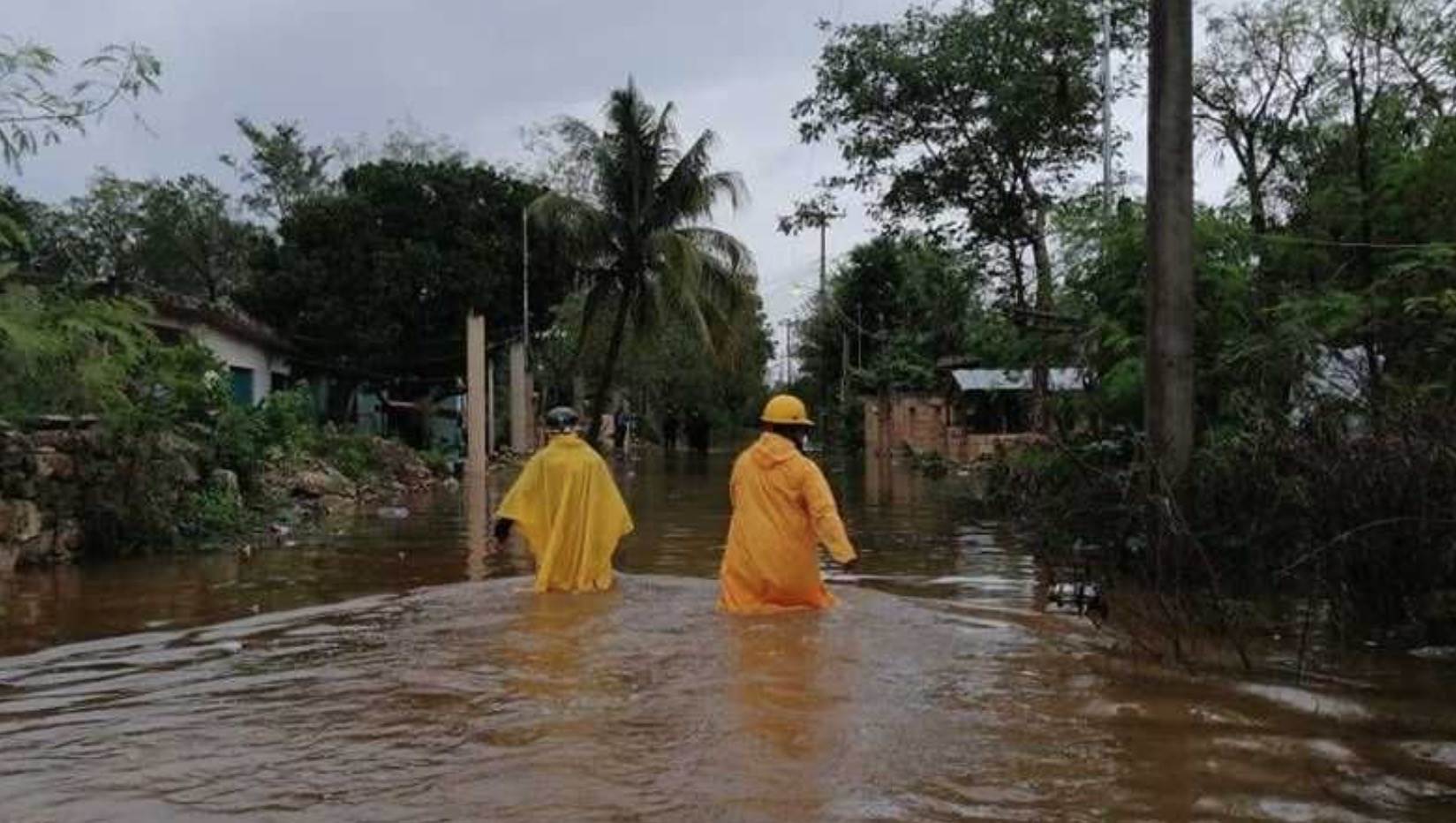 Habilitan siete centros de acopio en Mérida para afectados por lluvias