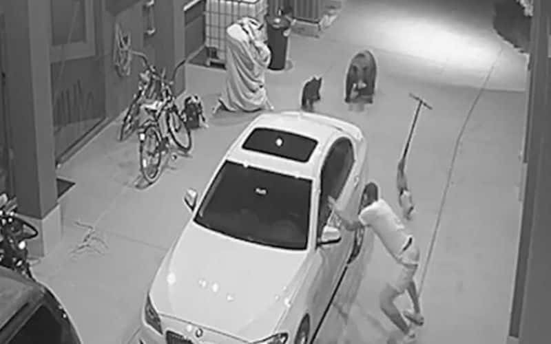 VIDEO: Jugador de Dallas Cowboys se lleva tremendo susto al encontrar dos osos en su casa