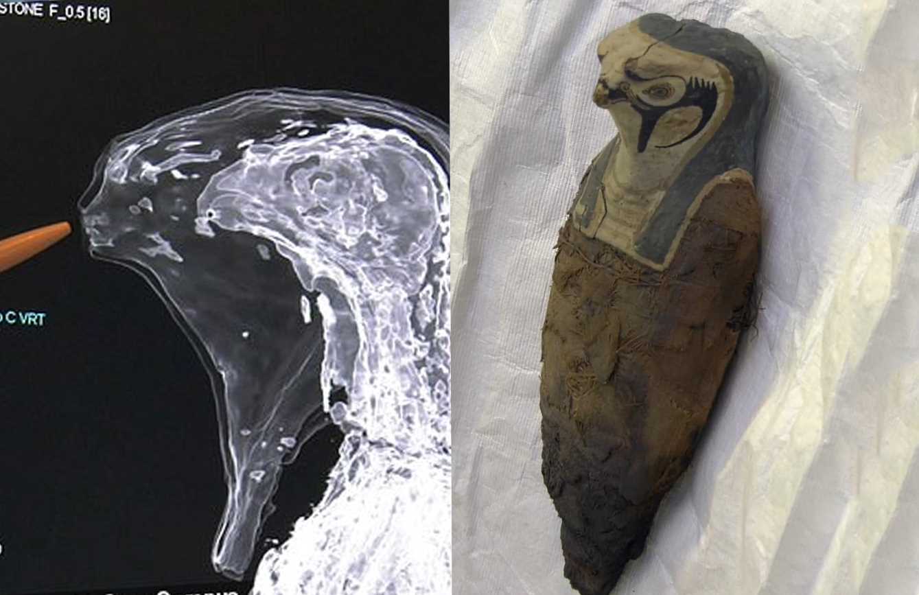 Científicos revelan que momia de Osiris no es humana