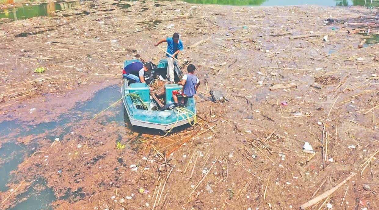 Retiran ramas y basura; vecinos de Santiago limpian presa La Boca