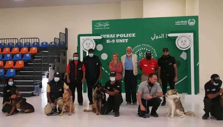 Entrenan a perros para detectar COVID-19; presentan 100% de efectividad