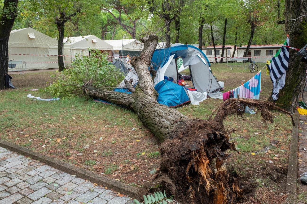 Mueren 2 niñas al caerles un árbol encima en Italia