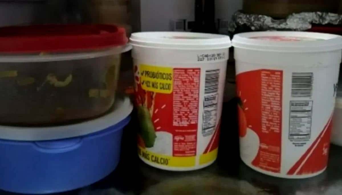 ¿Reutilizas los botes de yoghurt con comida? ¡Cuidado! advierten del riesgo de cáncer