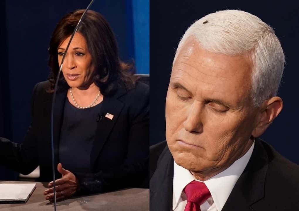 EUA: Covid-19 domina debate vicepresidencial entre Pence y Harris