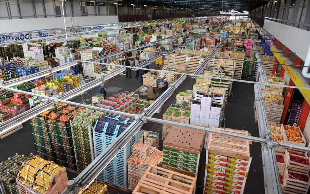 Se reactiva mercado industrial y le apuesta a México
