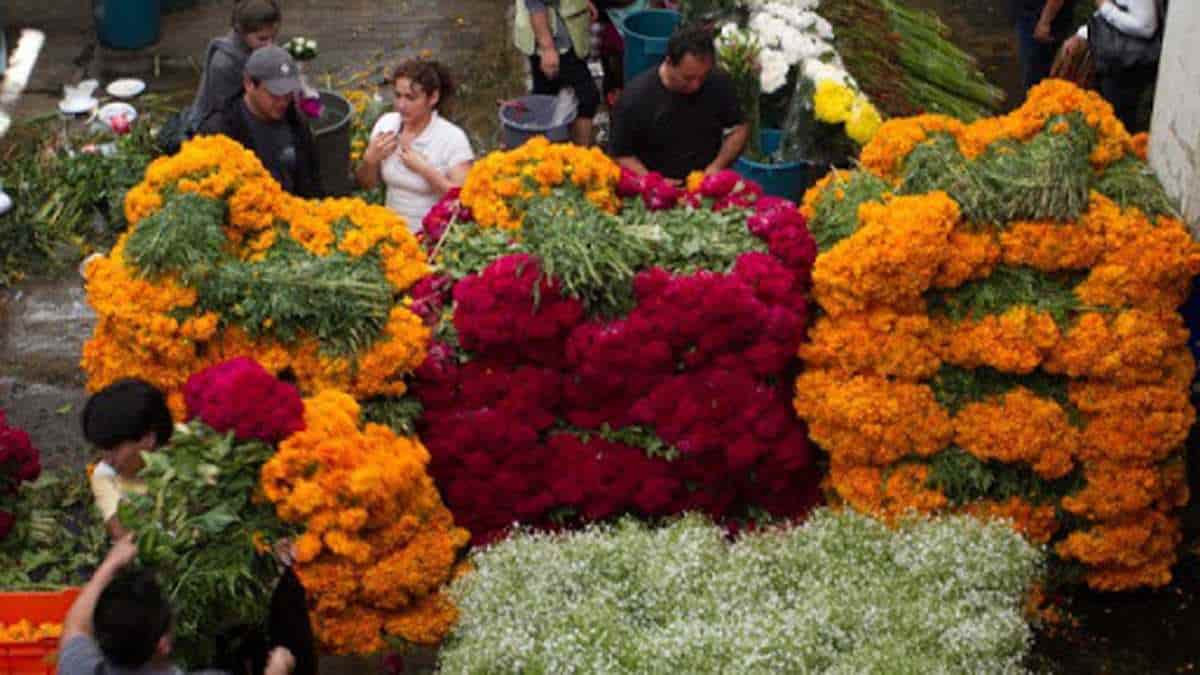 Autoridades piden evitar multitudes y panteones en Día de Muertos en México