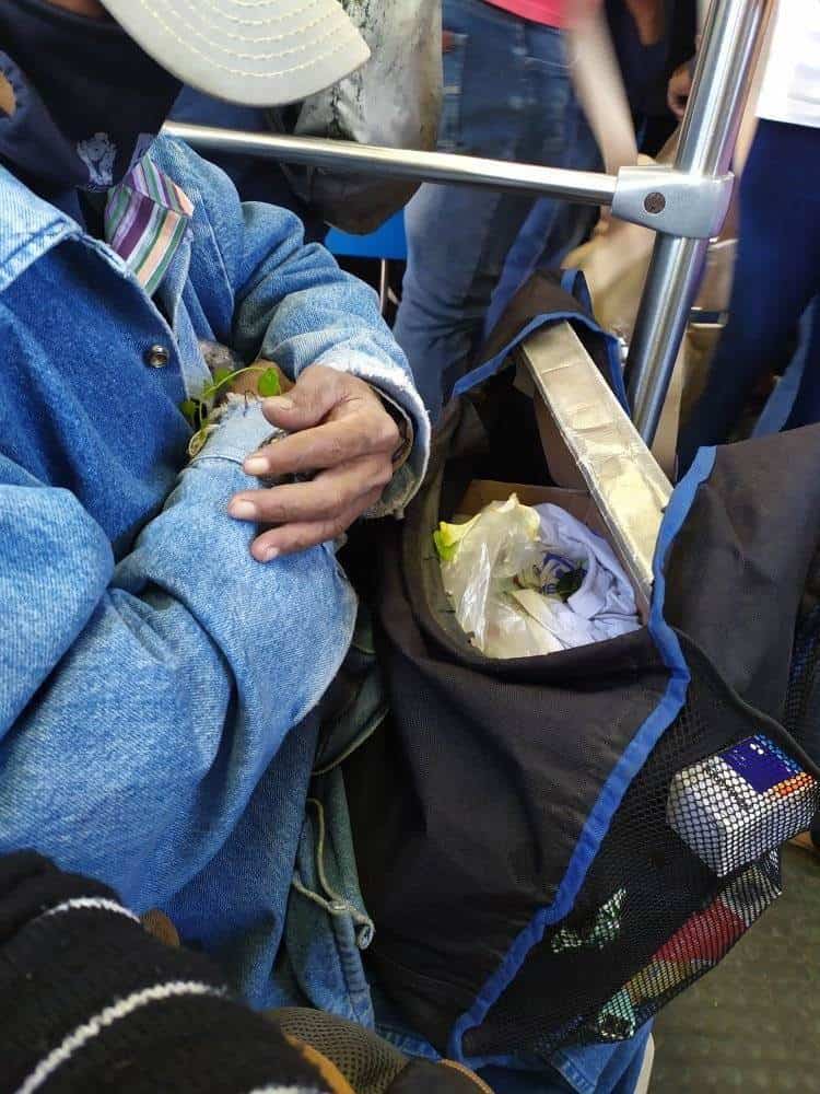 Conmueve hombre que alimenta a tortuguitas en el Metro y se hace viral