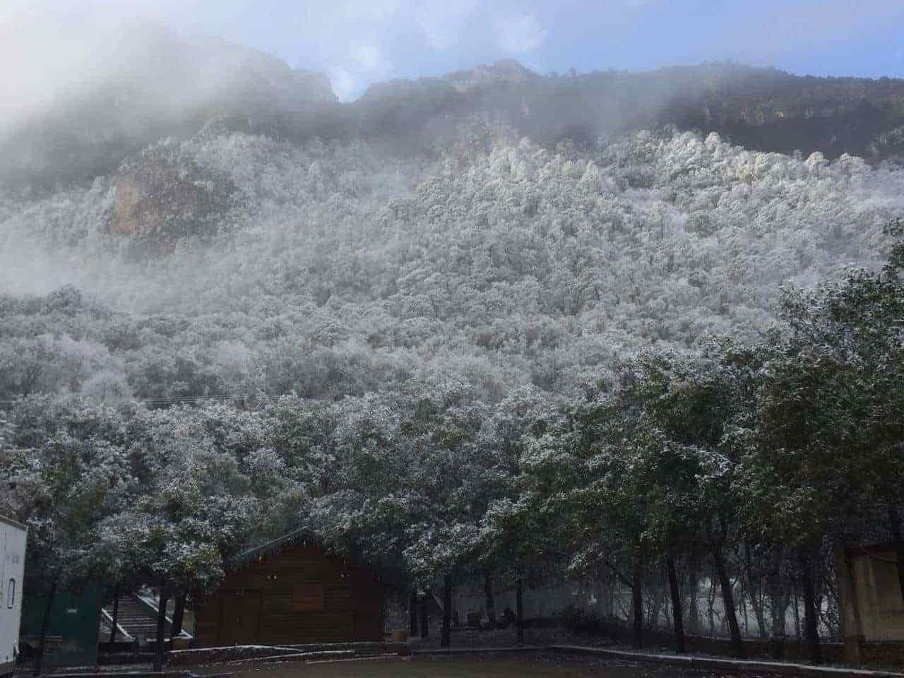 ¡Prepárate! Pronostican caída de nieve y/o aguanieve en zonas montañosas de NL