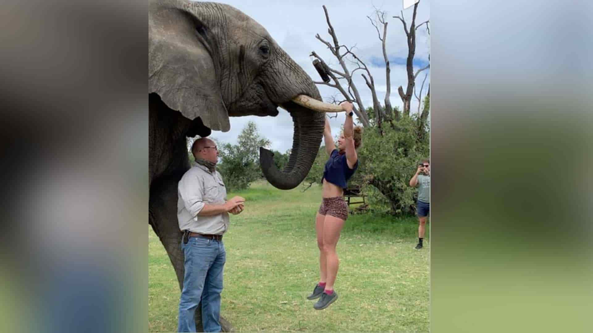 Mujer se ejercita en los colmillos de un elefante y causa indignación