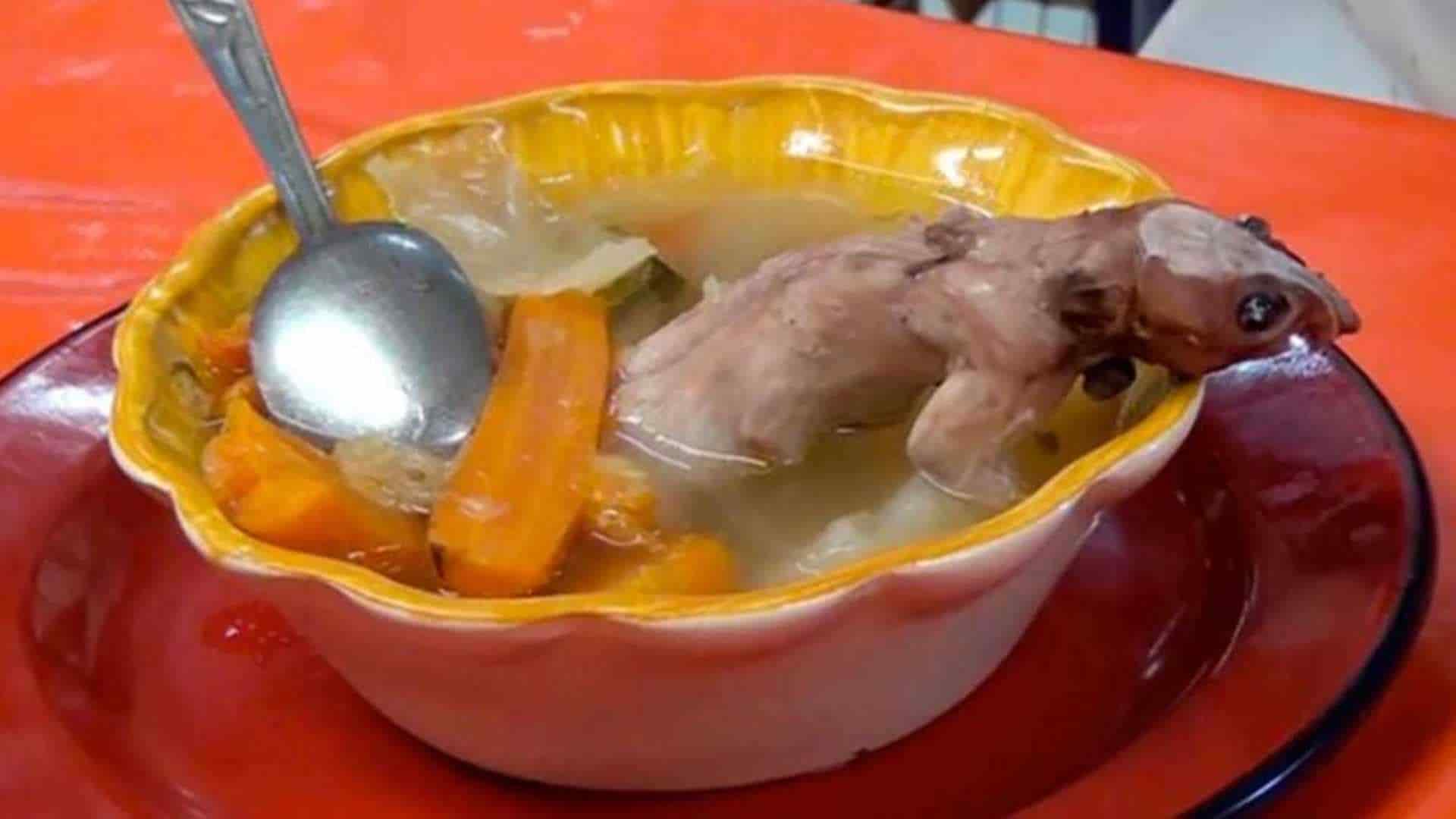 Caldo de rata, un orgullo de la gastronomía de Zacatecas ¿Te atreverías ...