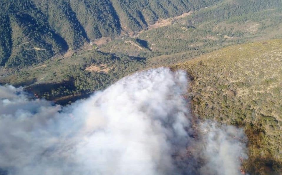 En Coahuila: Indagan cómo inició incendio