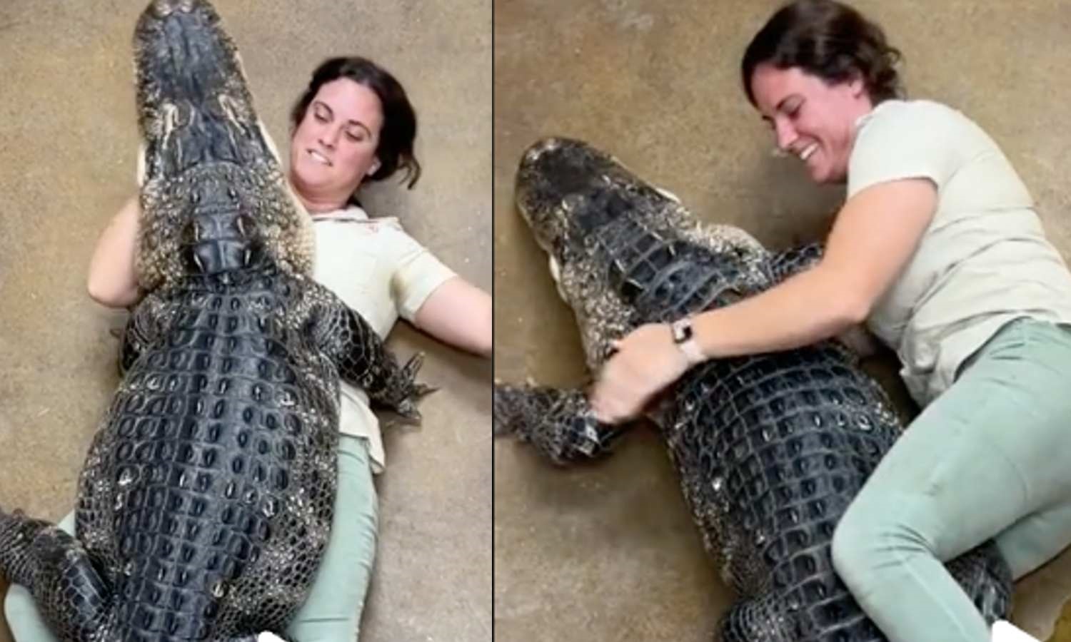 VIRAL: Así reacciona este cocodrilo al abrazo de mujer