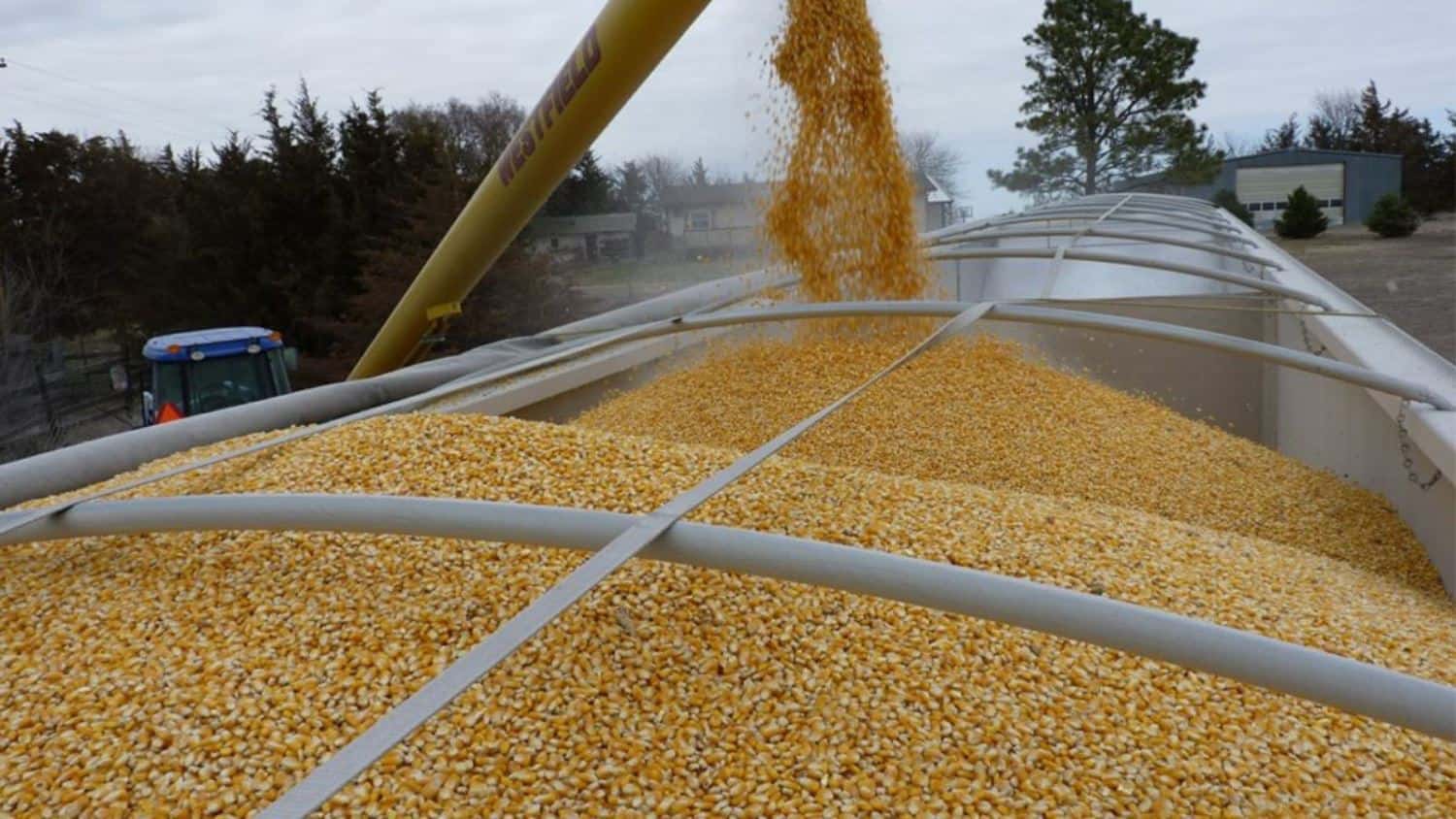 Anticipan aumento en importaciones de granos